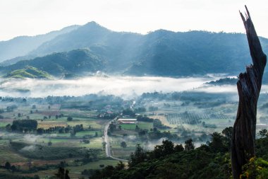 Phu Langka Ulusal Parkı, Tayland Güzel Dağ Manzarası.