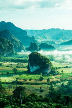 Phu Langka Ulusal Parkı, Tayland Güzel Dağ Manzarası.