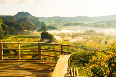 Phu Langka Ulusal Parkı, Tayland.