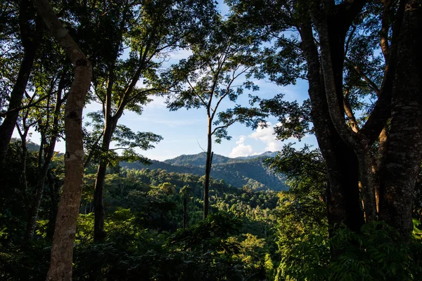 stock image Mountain view at Phayao province, Thailand.