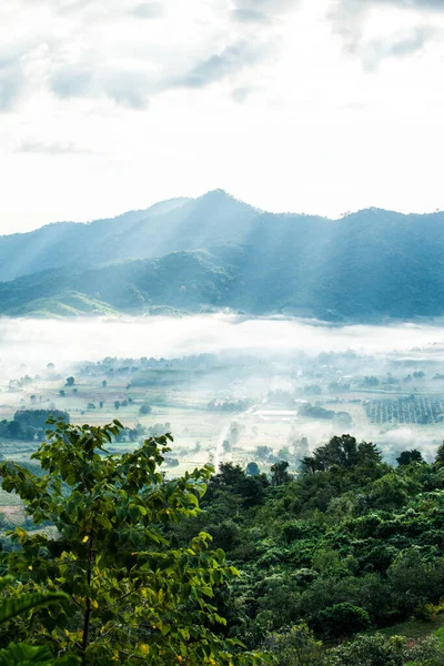 stock image Beautiful Mountain View of Phu Langka National Park, Thailand.