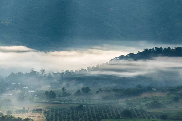 stock image Beautiful Mountain View of Phu Langka National Park, Thailand.