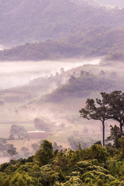 Stock image Beautiful Mountain View of Phu Langka National Park, Thailand.