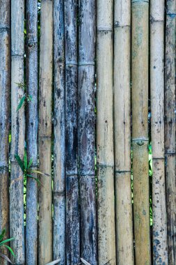 Bambu çit arka planı, Tayland.