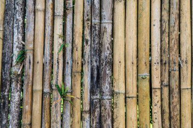 Bambu çit arka planı, Tayland.