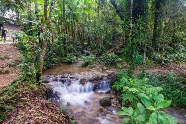 Su, Tayland 'ın Chiang Rai ilindeki Khunkorn şelalesinde akıyor..