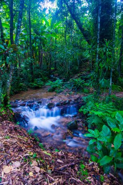 Su, Tayland 'ın Chiang Rai ilindeki Khunkorn şelalesinde akıyor..