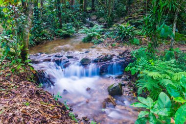 Su, Tayland 'ın Chiang Rai ilindeki Khunkorn şelalesinde akıyor..