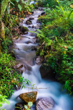 Su, Tayland 'ın Chiang Rai ilindeki Khunkorn şelalesinde akıyor..