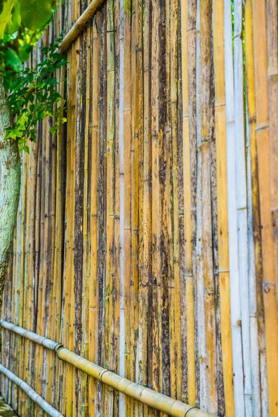 Stock image Bamboo fence background, Thailand.