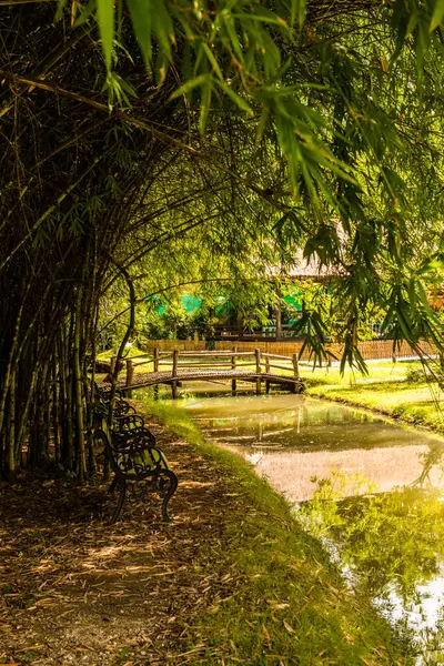 Park Cherntawan International Meditation Center Thailand — стокове фото