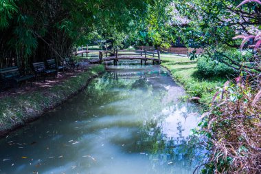Cherntawan Uluslararası Meditasyon Merkezi, Tayland 'daki Park.