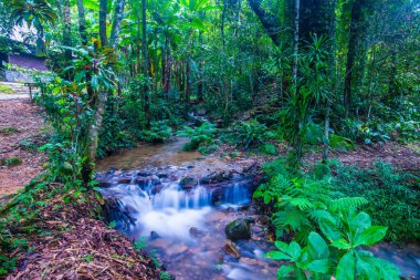 Su, Tayland 'ın Chiang Rai ilindeki Khunkorn şelalesinde akıyor..