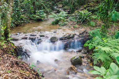 Su, Tayland 'ın Chiang Rai ilindeki Khunkorn şelalesinde akıyor..