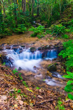 Su, Tayland 'ın Chiang Rai ilindeki Khunkorn şelalesinde akıyor..