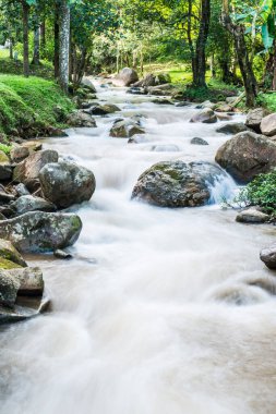 Su, Tayland 'ın Chiang Rai ilindeki Khunkorn şelalesinde akıyor..