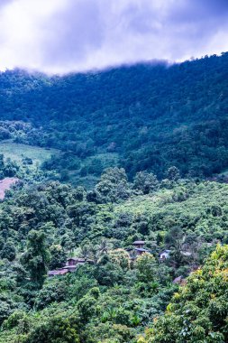 Tayland 'ın Phayao eyaletindeki dağ manzarası.
