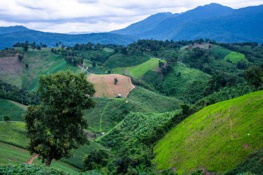 Tayland 'ın Phayao eyaletindeki dağ manzarası.