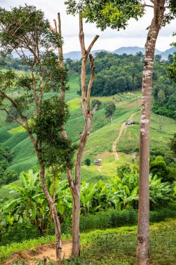 Tayland 'ın Phayao eyaletindeki dağ manzarası.