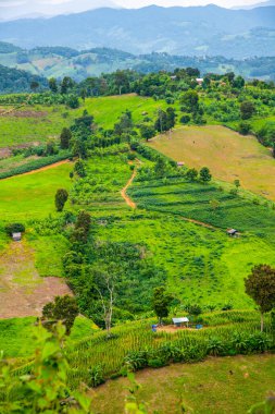 Tayland 'ın Phayao eyaletindeki dağ manzarası.