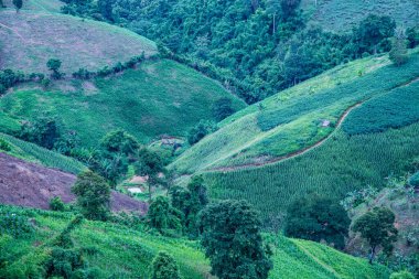 Tayland 'ın Phayao eyaletindeki dağ manzarası.