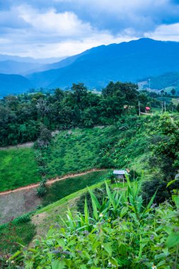Tayland 'ın Phayao eyaletindeki dağ manzarası.