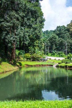 Tayland, Samoeng bölgesinde halka açık bir park..