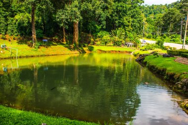 Tayland, Samoeng bölgesinde halka açık bir park..