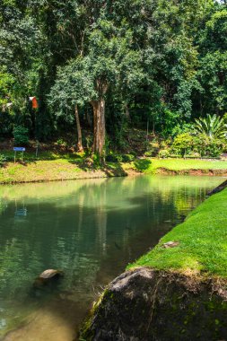 Tayland, Samoeng bölgesinde halka açık bir park..