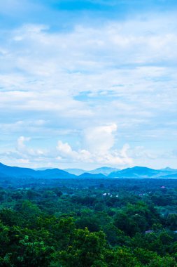 Tayland 'da sisli tropik yağmur ormanı.