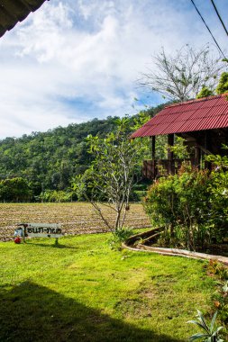 Tayland 'ın Chiangmai şehrinde bir ev..
