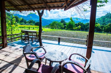 Tayland 'ın Chiangmai şehrinde Tayland tarzı teras..
