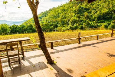 Tayland 'ın Chiangmai şehrinde Tayland tarzı teras..