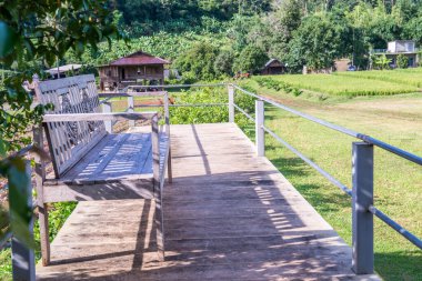 Çilek tarlasında teras, Tayland.