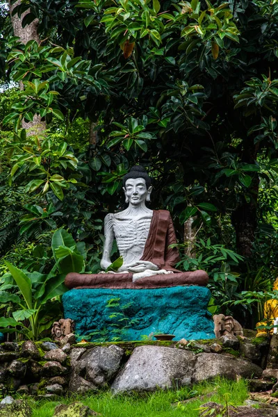 Estátua Ascetismo Buda Phra Que Templo Pha Ngao Tailândia — Fotografia de Stock