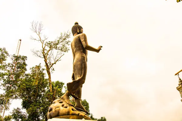 stock image Beautiful standing Buddha in Phra That Phu Khao temple, Thailand.