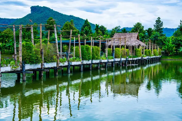 Krásný Park Provincii Chiang Rai Thajsko — Stock fotografie