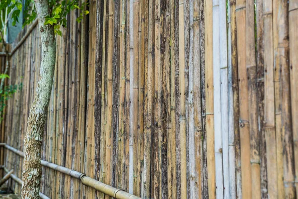 Bamboo Fence Background Thailand — 图库照片