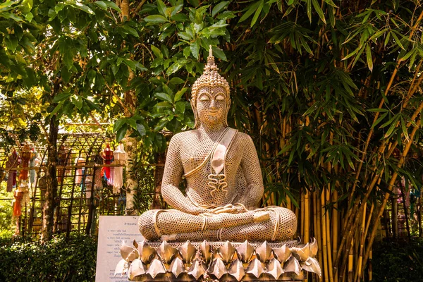 Статуя Будди Зроблена Горіха Таїланд — стокове фото