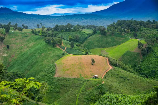 stock image Mountain view of Nan province, Thailand.