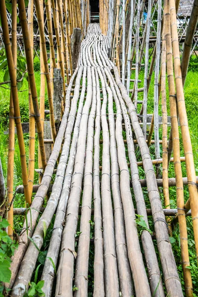 Tayland Pirinç Tarlası Olan Küçük Bir Köprü — Stok fotoğraf
