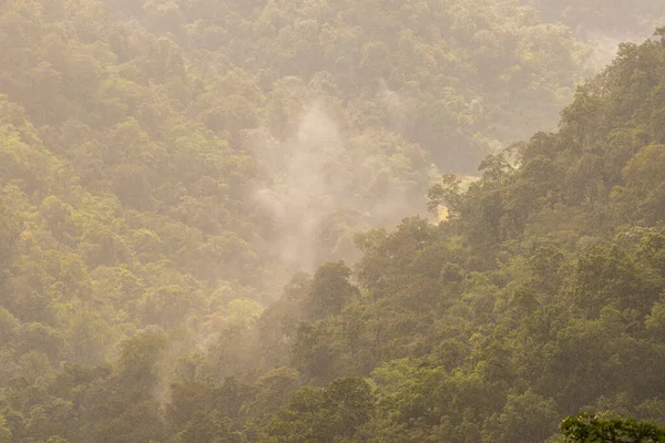 有雾的热带雨林 — 图库照片