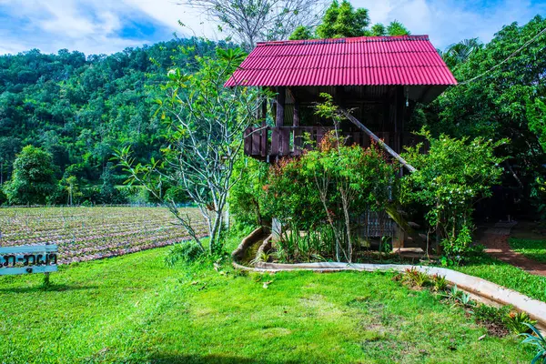 Casa Nativa Tailandesa Chiangmai Tailandia — Foto de Stock