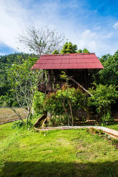 Thailändisches Haus Chiangmai Thailand — Stockfoto