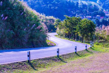 Dağdaki yol, Tayland.