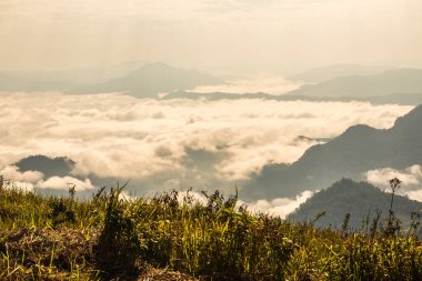 Chiangrai Eyaleti, Tayland 'daki Phu Chi Fa Manzara Noktasında Sis Denizi.