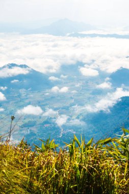 Chiangrai Eyaleti, Tayland 'daki Phu Chi Fa Manzara Noktasında Sis Denizi.