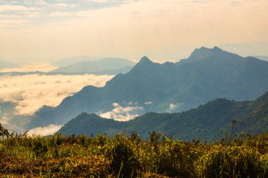Chiangrai Eyaleti, Tayland 'daki Phu Chi Fa Manzara Noktasında Sis Denizi.