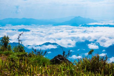 Chiangrai Eyaleti, Tayland 'daki Phu Chi Fa Manzara Noktasında Sis Denizi.