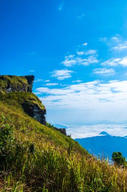 Chiangrai, Tayland 'da Fog Sea ile Phu Chi Fa Manzara Noktası.